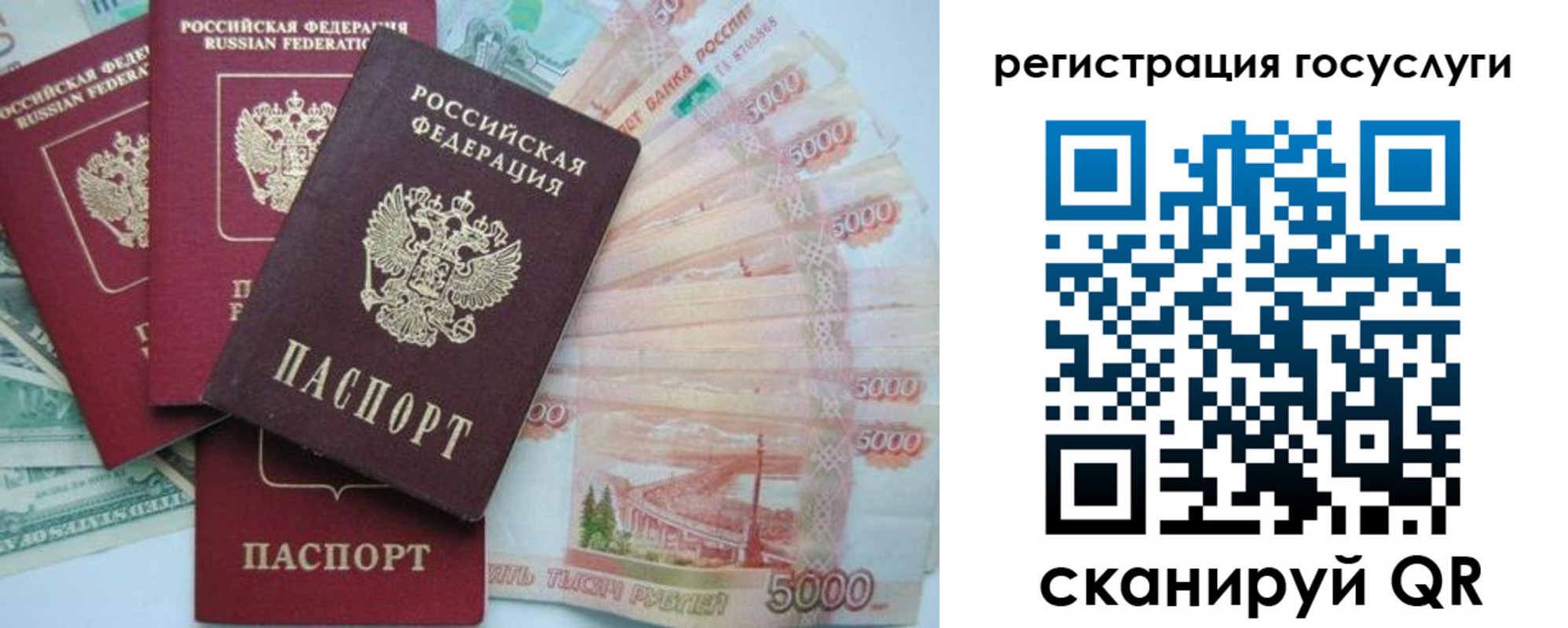 прописка иностранных граждан в Сольцах